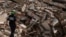 Rescatista y su perro buscan víctimas entre los escombros de un edificio en La Guaira, este 28 de junio de 2026. (REUTERS/Leonardo Fernandez Viloria)