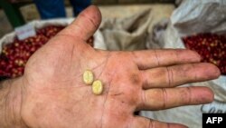 Cuba, sin aroma de café