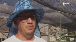 Info Martí | Cultivar peces en Cuba 