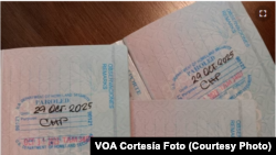 Tres pasaportes cubanos con estampas de Inmigración de parole humanitario, pueden verse en Tampa EEUU, el 21 de diciembre de 2023.
