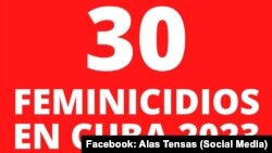 30 feminicidios registrados en Cuba en 2023. Imagen obtenida del Facebook de Alas Tensas. 