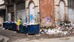 Virus del Oropouche en Cuba