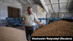 El agricultor local Mykola, de 63 años, toca granos de trigo dentro de un almacén de su granja que fue dañado el año pasado por un ataque militar ruso, en Velykomykhailivka, en la región de Dnipropetrovsk, Ucrania. (REUTERS/Viacheslav Ratynskyi)