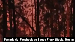 Incendio forestal de gran magnitud en las zonas de Pinar del Río y Viñales (Tomada del Facebook de Sousa Frank)