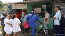 El virus Oropuche gana terreno en Cuba