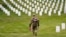 Un soldado de EEUU participa en la misión anual "Flags In" para el Día de los Caídos, en el Cementerio Nacional de Arlington. 