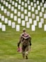 Un soldado de EEUU participa en la misión anual "Flags In" para el Día de los Caídos, en el Cementerio Nacional de Arlington. 