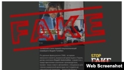 Captura de Stopfake.org