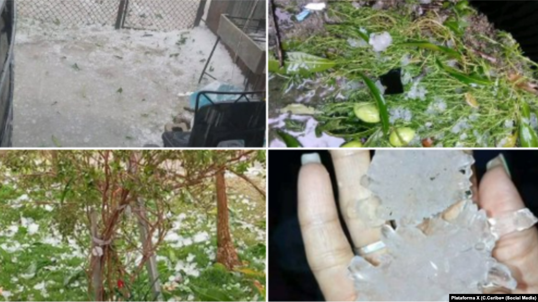Imágenes tras las lluvias y el granizado del 22 de marzo en el occidente de Cuba. (Plataforma X, Canal Caribe).