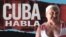 Banner Cuba Habla 17