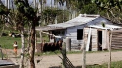 Info Martí | La dura realidad que padecen los cubanos