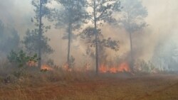 Cubanos atribuyen aumento de incendios forestales a escasez de recursos de trabajadores y otros factores