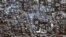 Una imagen satelital muestra el hospital Al-Shifa, en medio del conflicto entre Israel y Hamás, en Gaza, el 11 de noviembre de 2023. (Maxar Technologies/Handout vía REUTERS)