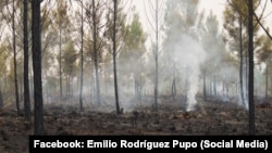 Imagen de uno de los focos apagados del incendio forestal en Pinares de Mayarí, publicada en Facebook por el periodista Emilio Rodríguez Pupo.