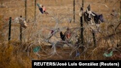 Un agujero en una valla de alambre de púas utilizada para evitar que los migrantes crucen entre Estados Unidos y México, visto desde Ciudad Juárez, México, 1 de febrero de 2024. REUTERS/José Luis González