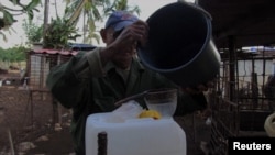 Colando leche de vaca