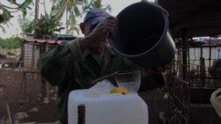 Info Martí | Tomar leche es un lujo en Cuba