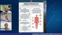 El virus de Oropouche llega a Mayabeque: El Ministerio de Salud Pública confirma nuevos casos