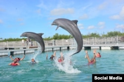La terapia con delfines, parte de la oferta de turismo de salud en Ciego de Ávila, Cuba. (Delfinario de Cayo Guillermo/Facebook)