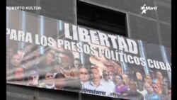 Nueva coalición opositora en Cuba: “D Frente” 