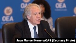 Secretario General de la OEA, Luis Almagro. (foto cortesia de la OEA)