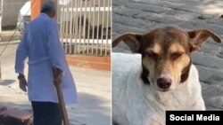 El médico, identificado como Rafael Ezequiel Palmero, junto a una imagen de la perrita maltratada. (Captura de videos/Facebook)