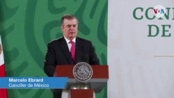 Declaraciones del canciller mexicano Marcelo Ebrard