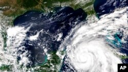 Imágenes de satélite publicadas por la NASA muestra al huracán Ian. (NASA Worldview/Earth Observing System Data and Information System (EOSDIS) via AP)