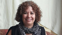 Ileana Álvarez: "Cada vez resulta más difícil registrar y verificar estos crímenes"