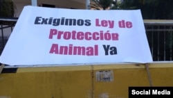 Defensores de animales terminan frustrados reunión con autoridades cubanas