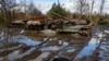 Tanques rusos dañados por ejército de Ucrania en la región de Kharkiv, 10/30/2022.