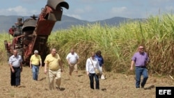 Coalición Agrícola de EEUU visita un central azucarero. EFE