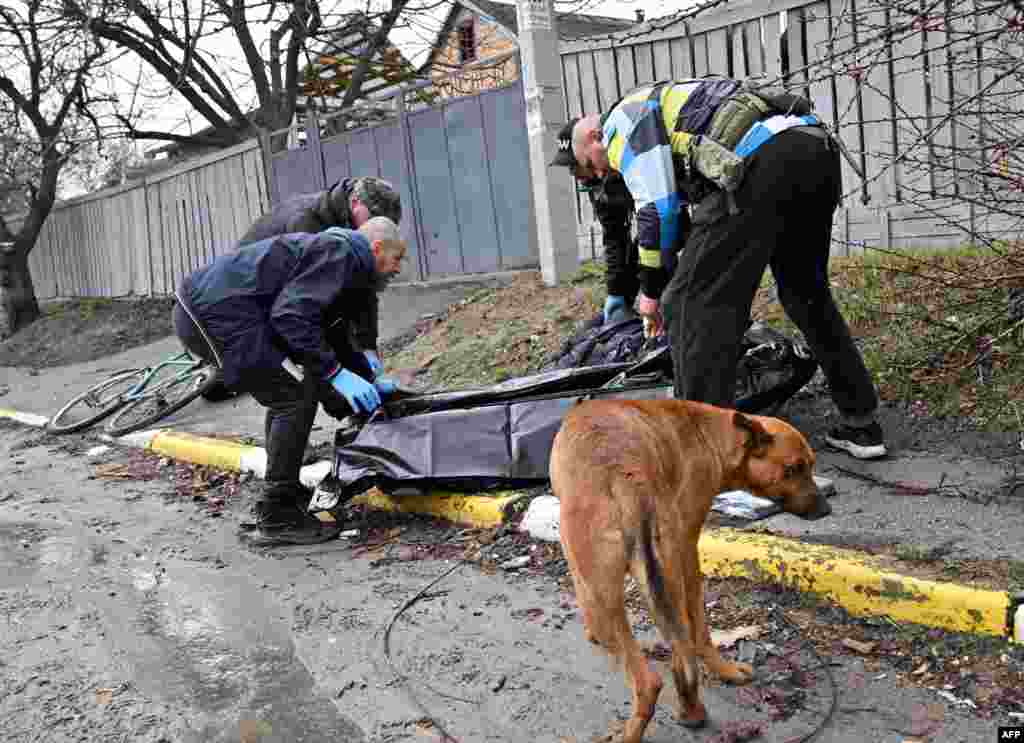 El perro junto a su due&#241;o asesinado tras la retirada de las tropas rusas de la ciudad ucraniana de Bucha. 
