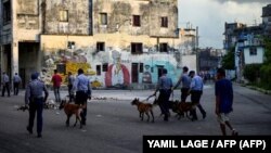 Policías con perros recorren las calles de La Habana el 11 de julio de 2021, día en que estallaron las protestas antigubernamentales en varias localidades de Cuba. En lo que va de 2024, organizaciones de la sociedad civil han reportado a la CIDH cerca de 300 acciones represivas.