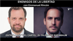 Enemigos de la Libertad: En México se ha hecho habitual que el gobierno proteja a los narcos: Bolio