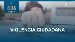 Violencia ciudadana