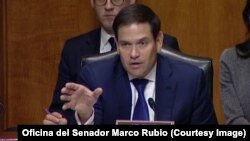 El Senador republicano por la Florida, Marco Rubio. 