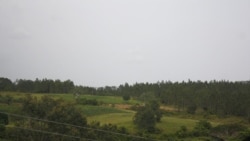 Alborada Guajira