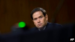 Marco Rubio, senador republicano de origen cubano. 