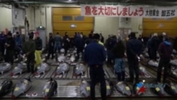 Pagan $117.000 por primer atún capturado en 2017 en Japón