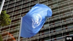 La ONU condena la situación de derechos humanos en Cuba