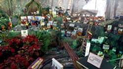 Encarecen los árboles de Navidad en Venezuela