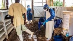 Epidemia de Ebola en Africa