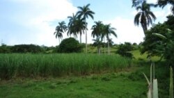 Paralizada la entrega de tierras ociosas a campesinos
