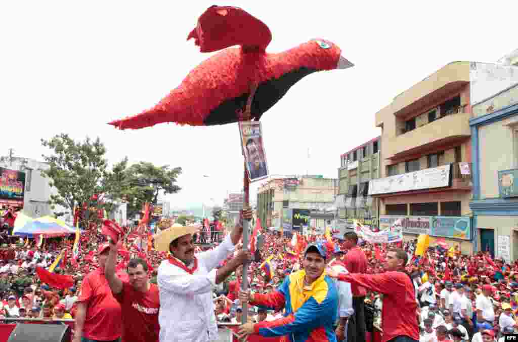 Nicolás Maduro asumió el pájaro chavista como símbolo de Hugo Chávez.