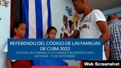 Transparencia Electoral y Demo Amlat, crean plataforma electoral para cubanos en el exilio