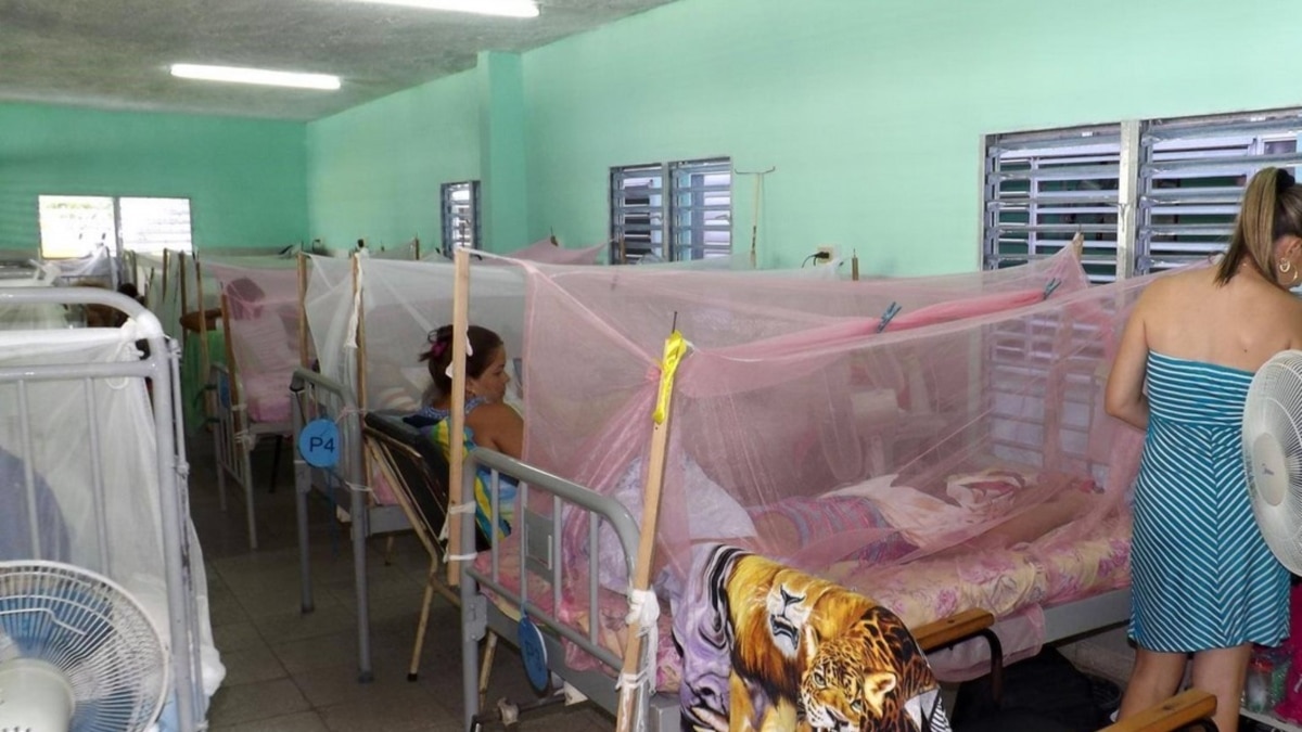 Muere por dengue niña de 10 años en Granma