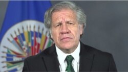 La OEA señala que hay fundamento suficiente para considerar que se han cometido crímenes de lesa humanidad en Venezuela