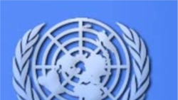 Cuba no cumple con sus obligaciones ante la ONU