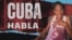 Banner 531